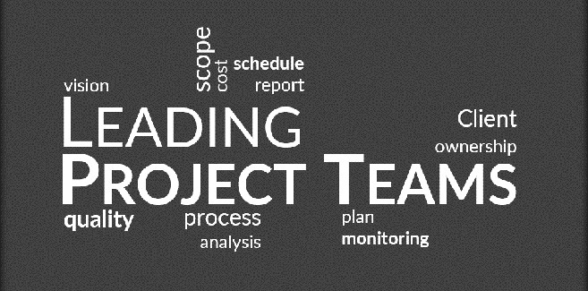 leading project teams